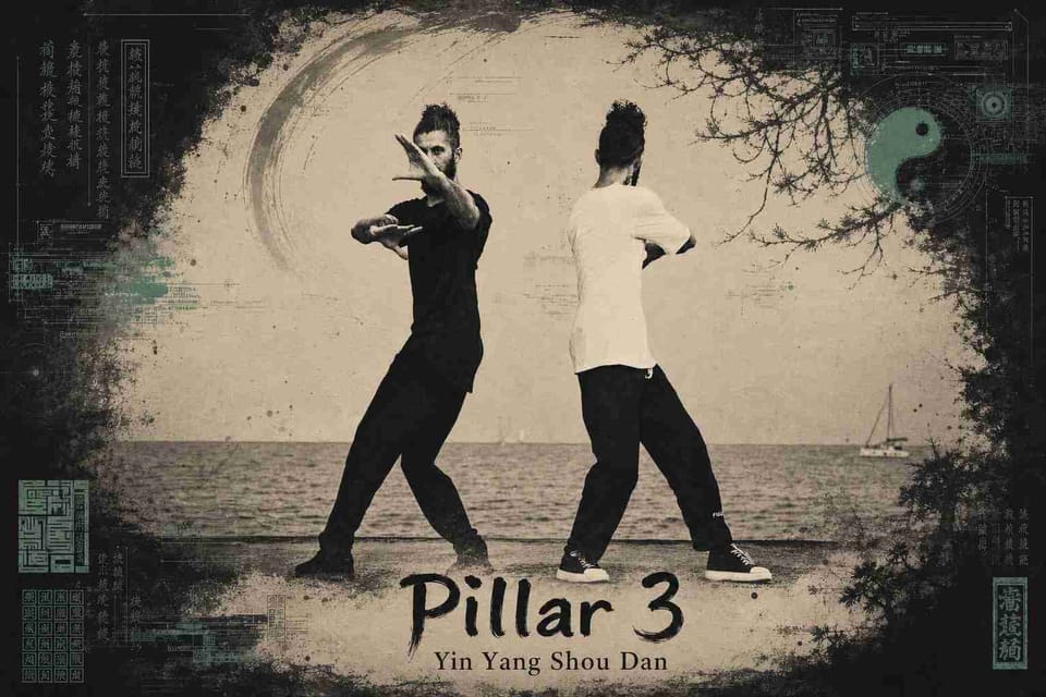 Pillar 3: Yin Yang Shou Dan