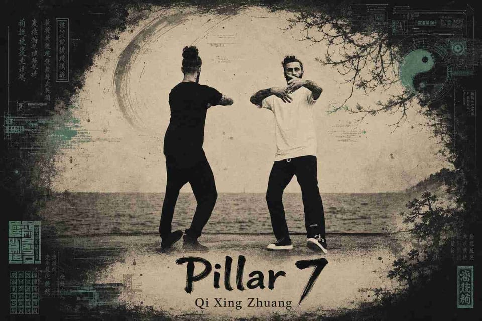 Pillar 7: Qi Xing Zhuang